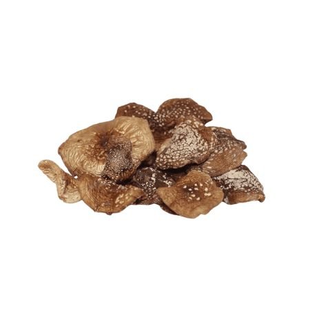 Panther-Fliegenpilz Pulver kaufen (Amanita Pantherina)