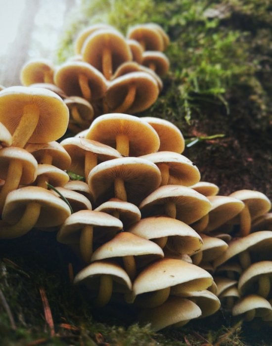 landon-parenteau-EEuDMqRYbx0-unsplash